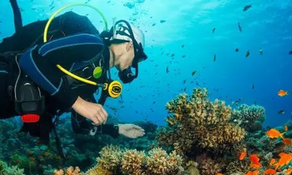 Qué ver y hacer en Monteverde