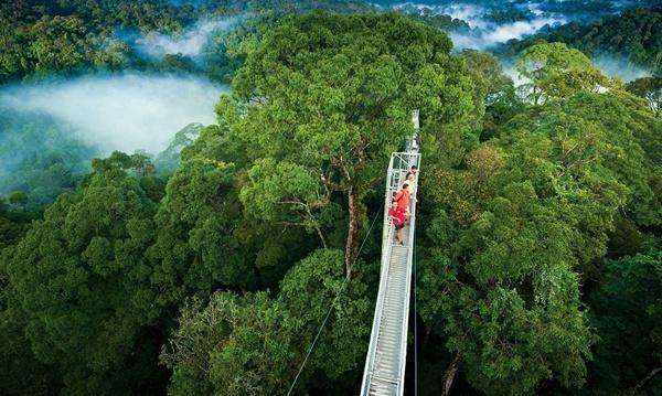 Qué ver y hacer en Monteverde